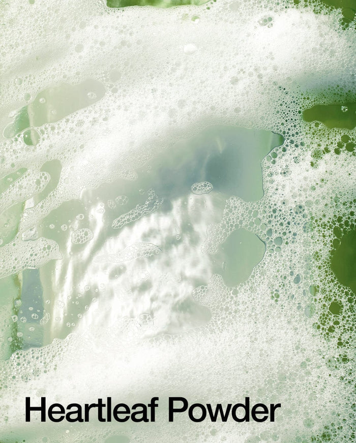 Heartleaf Quercetinol Pore Deep Cleansing Foam | Anua