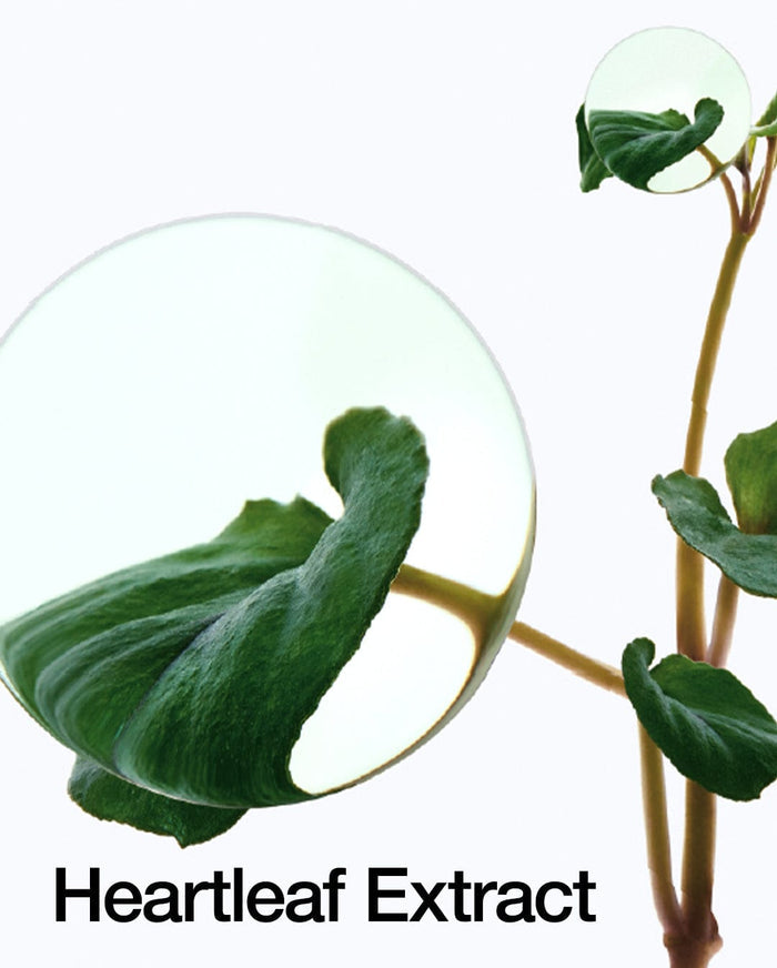 Heartleaf 70% Intense Calming Cream | Anua